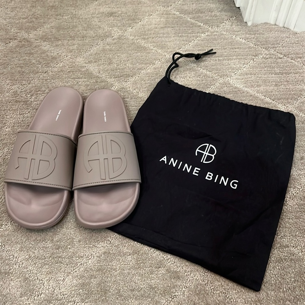 Annie bing slides size 40 NWOT